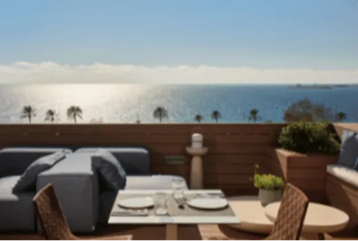 Descripción de la imagen